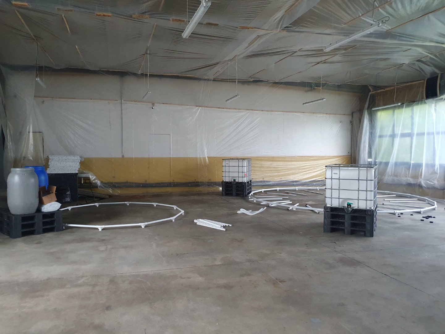 Proces hodowli krewetek